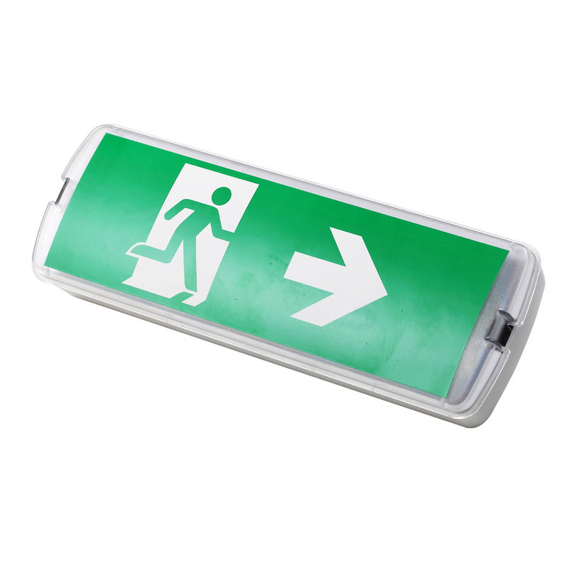 Piccola Luce di Emergenza LED Ricaricabile di Backup con Cassa in ABS IP20 L116M-A