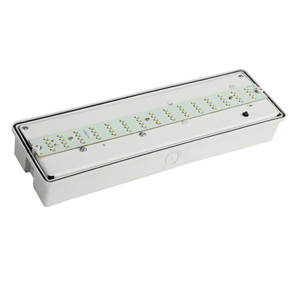 Luce di emergenza da parete personalizzata, impermeabile, per esterni, IP65, SMD, per zone umide EL060AN