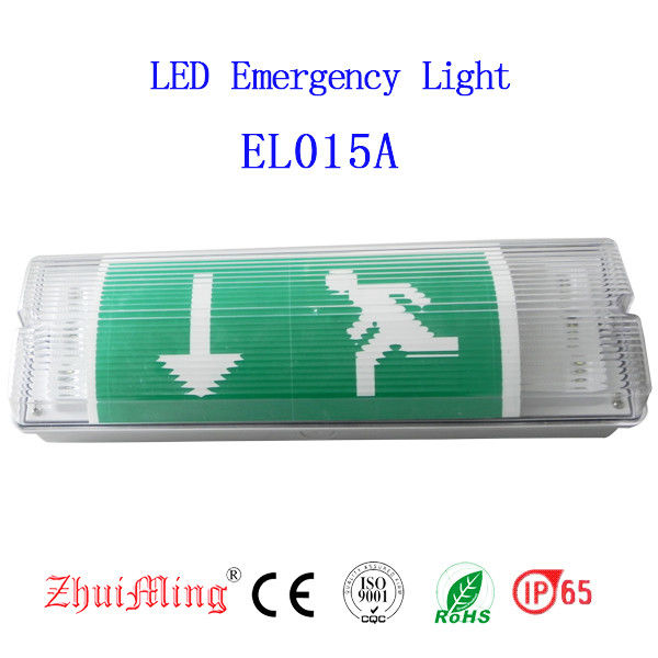 Luce di emergenza impermeabile da parete a incasso, montaggio superficiale, LED, per zone umide, esterno, IP65 EL015AMN
