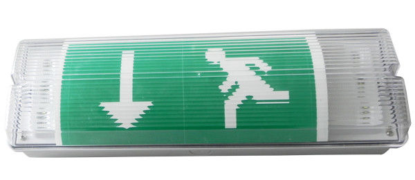 Lampada di emergenza stagna da parete a LED per esterni IP65 L102M
