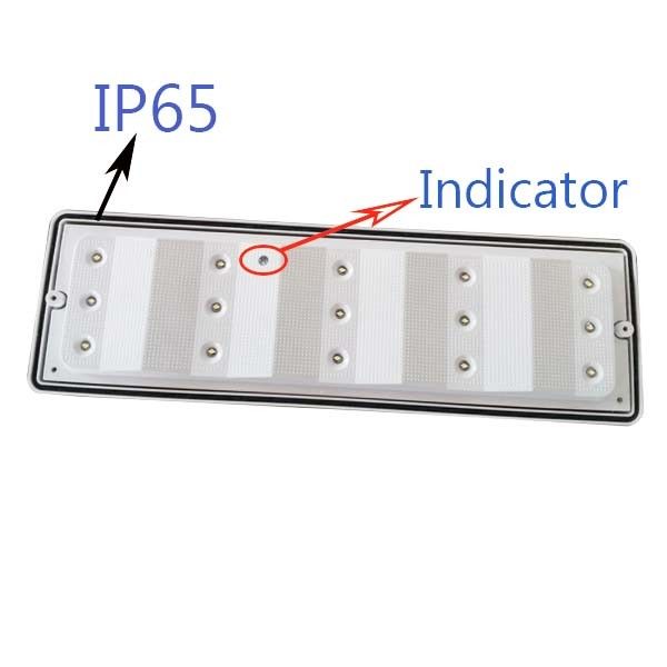 Lampada di emergenza stagna da parete a LED per esterni IP65 L102M