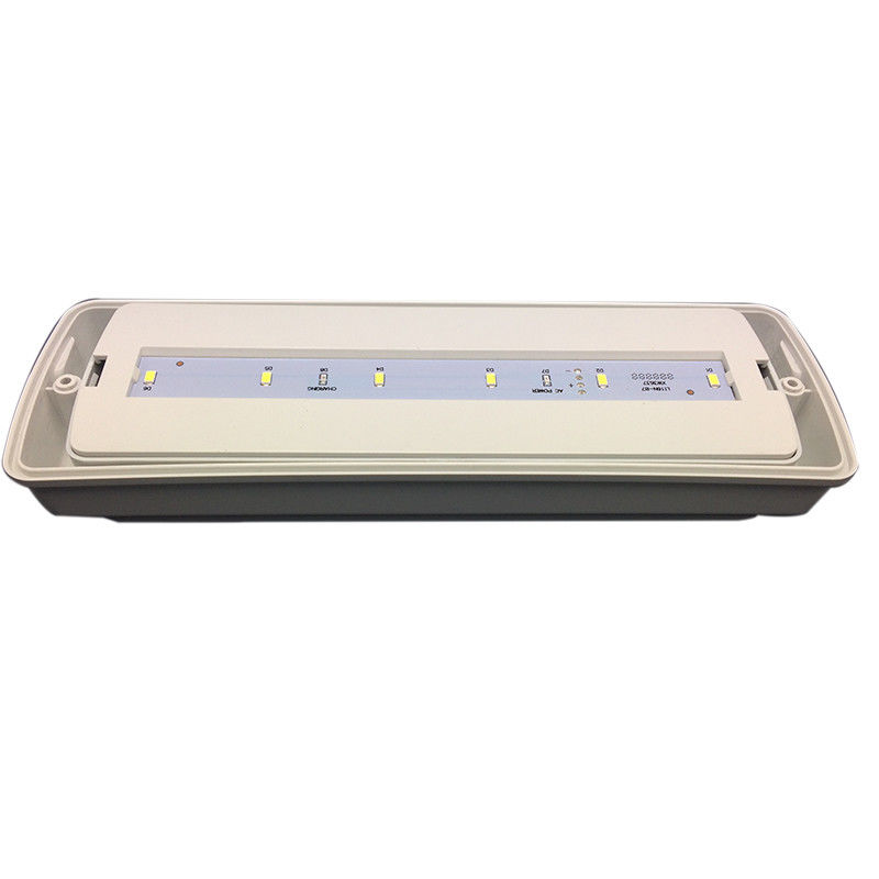 Luce di emergenza impermeabile, dimensioni ridotte, LED, batteria Ni-Cd, durata 3 ore, L116N-D