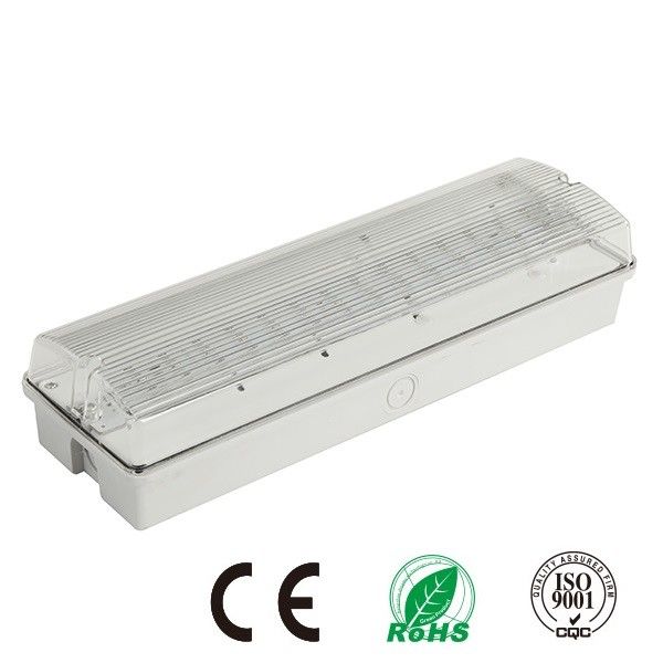 Luce di emergenza impermeabile ricaricabile a LED IP65 per esterni in zone umide con batteria di riserva 3 ore EL060AM