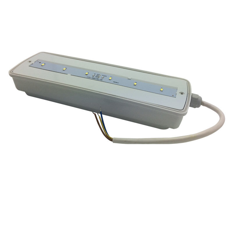 Lampada di emergenza impermeabile per paratie, ricaricabile, IP65, plastica, Ni-Cd con batteria di riserva 3 ore L116N-E