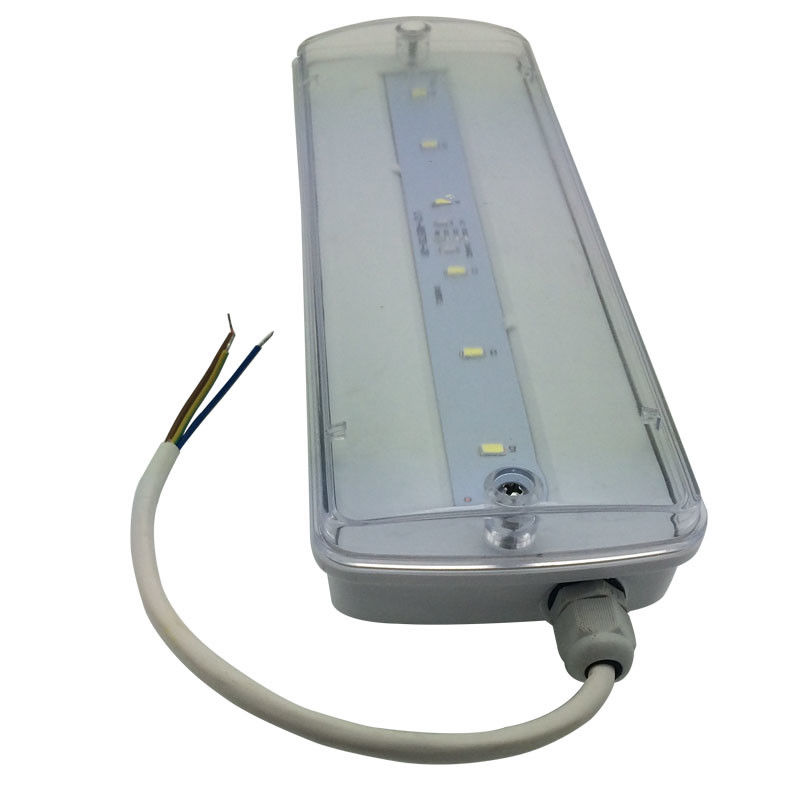 Lampada di emergenza impermeabile per paratie, ricaricabile, IP65, plastica, Ni-Cd con batteria di riserva 3 ore L116N-E