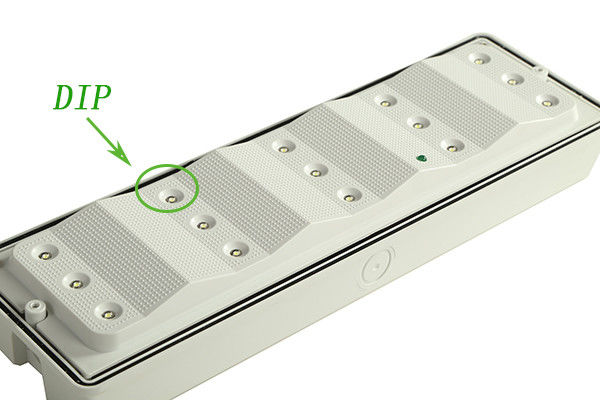 Luce di emergenza impermeabile in plastica a risparmio energetico IP65 per esterni in zone umide, garanzia 3 anni EL015AM