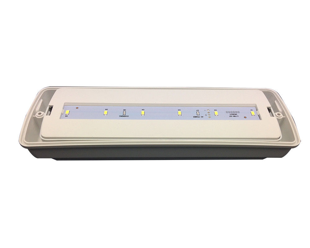 Industriale Piccolo IP65 impermeabile luce d'emergenza Posizione bagnata all'aperto 3 ore L116N-D