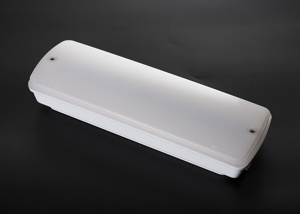 Luce d'emergenza non di manutenzione standard CE con resistenza all'acqua IP65 e batteria Ni-Cd