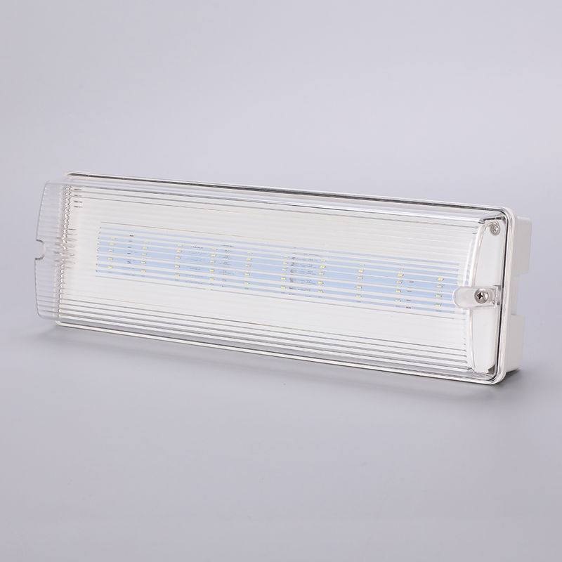 Lampada di emergenza LED impermeabile 3H Ni Cd Batteria di riserva 3.6V 1.0Ah 5pcs SMD 5730 IP65 6500K