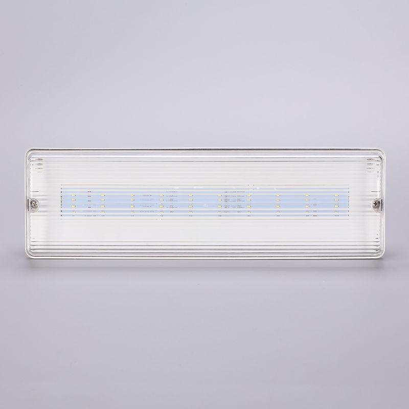 Lampada di emergenza LED impermeabile 3H Ni Cd Batteria di riserva 3.6V 1.0Ah 5pcs SMD 5730 IP65 6500K