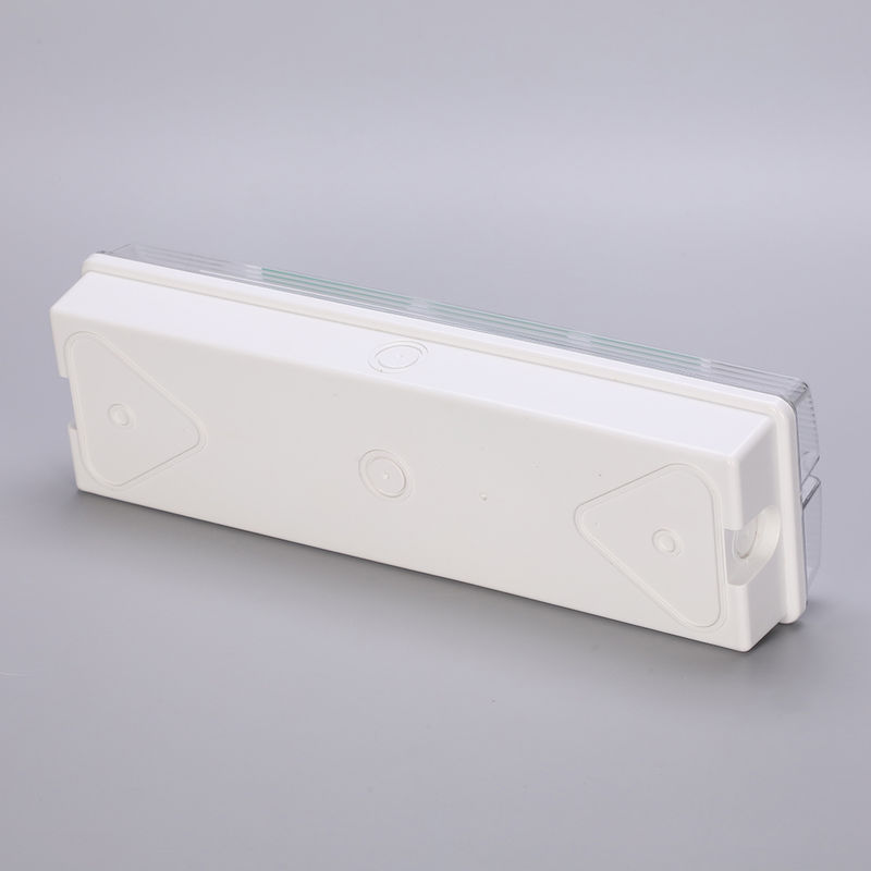 Lampada di emergenza LED impermeabile 3H Ni Cd Batteria di riserva 3.6V 1.0Ah 5pcs SMD 5730 IP65 6500K