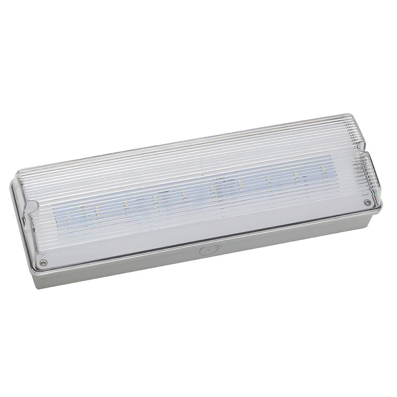 Lampada di emergenza LED impermeabile 3H Ni Cd Batteria di riserva 3.6V 1.0Ah 5pcs SMD 5730 IP65 6500K