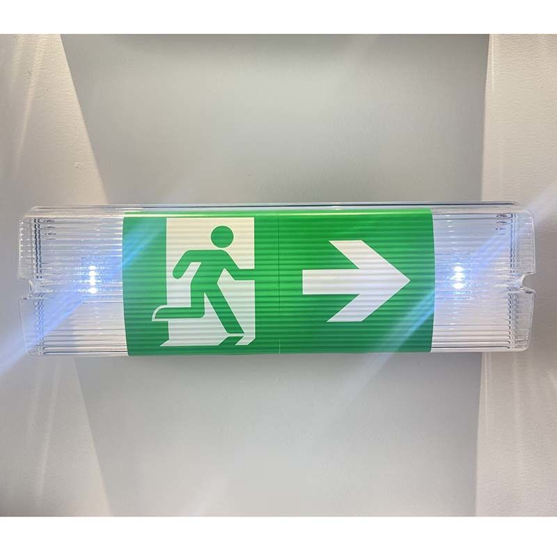 Lampada di emergenza LED impermeabile 3H Ni Cd Batteria di riserva 3.6V 1.0Ah 5pcs SMD 5730 IP65 6500K