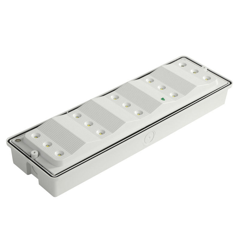 Luce di emergenza a LED impermeabile IP65, batteria Ni-Cd da 3W, 15 LED SMD 2835 da 6500K