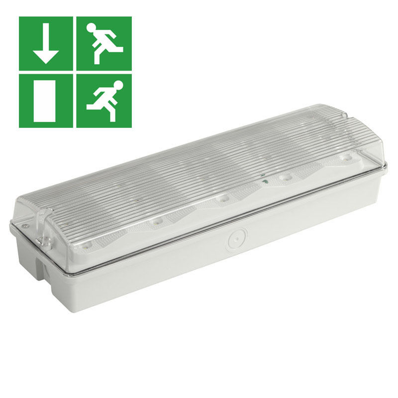 Luce di emergenza a LED impermeabile IP65, batteria Ni-Cd da 3W, 15 LED SMD 2835 da 6500K