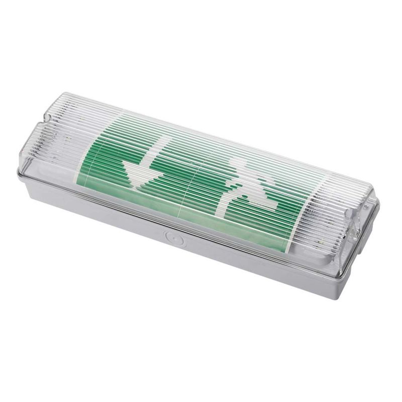 Luce di emergenza a LED impermeabile IP65, batteria Ni-Cd da 3W, 15 LED SMD 2835 da 6500K