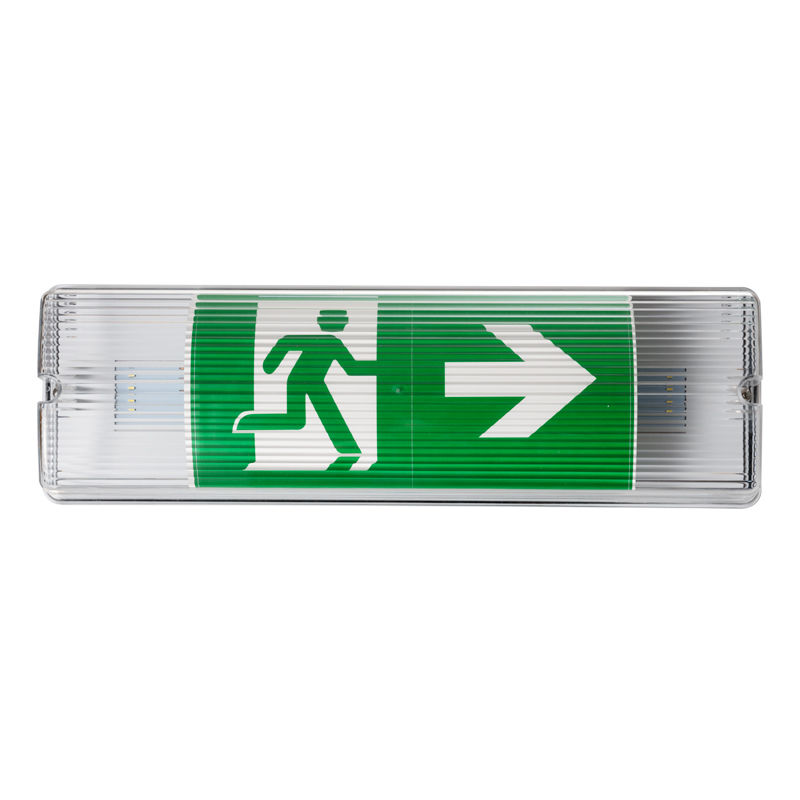 Luce di emergenza LED impermeabile 5W IP65 Ni Cd Batteria di riserva 10pcs 5730 SMD Cold White luminare