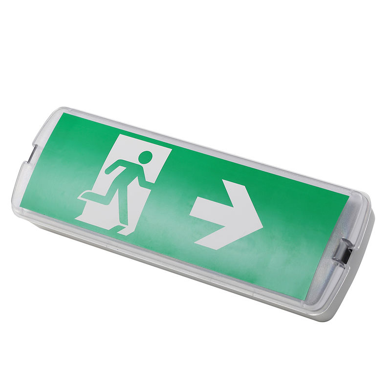 Lampada di emergenza a LED ricaricabile 3W 6500K Ni CD Batteria IP20 SMD LED 220V 240V