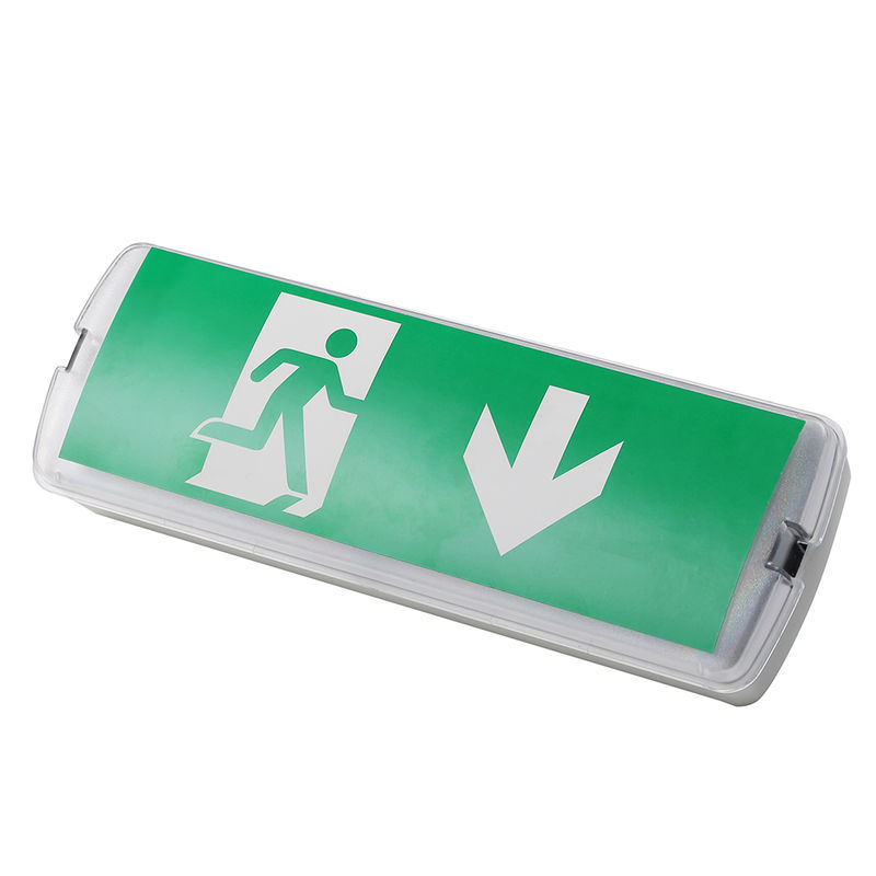 Lampada di emergenza a LED ricaricabile 3W 6500K Ni CD Batteria IP20 SMD LED 220V 240V