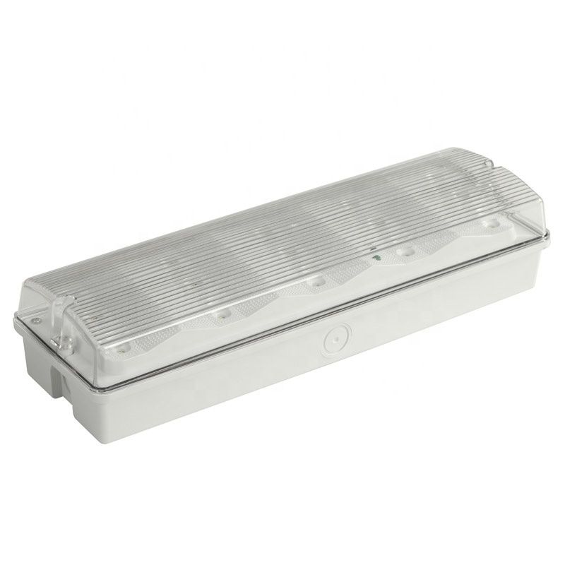 Luce di emergenza a LED impermeabile da 3W 6000K montata a parete IP65 bianco freddo durata 50000 ore