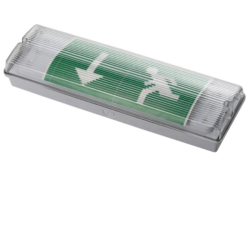 Luce di emergenza a LED impermeabile da 3W 6000K montata a parete IP65 bianco freddo durata 50000 ore