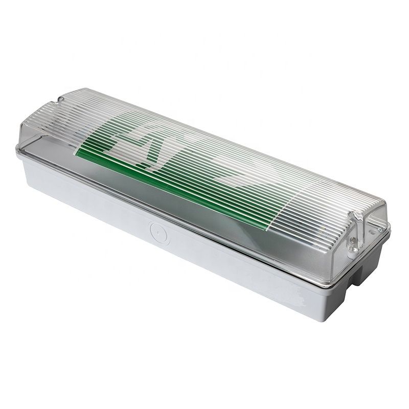 Luce di emergenza a LED impermeabile da 3W 6000K montata a parete IP65 bianco freddo durata 50000 ore