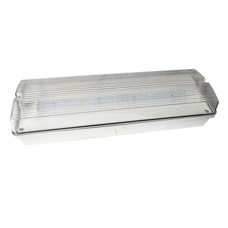 Luce di emergenza a LED per ascensore, resistente alle intemperie, IP65, 220V 240V, 3 ore di autonomia, batteria Ni-Cd, apparecchio