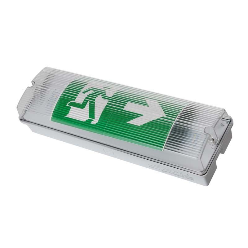 Luce di emergenza a LED per ascensore, resistente alle intemperie, IP65, 220V 240V, 3 ore di autonomia, batteria Ni-Cd, apparecchio
