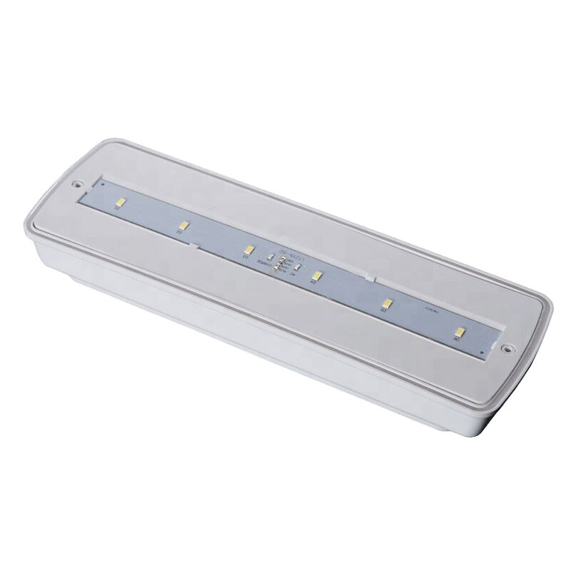 Luce di emergenza a LED industriale IP65 impermeabile per zone umide, esterno, backup 3 ore Ni-Cd
