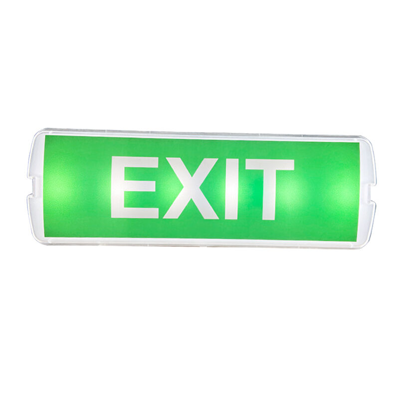 Lampada di emergenza a LED ricaricabile da 220V a montaggio superficiale con 3 ore di autonomia e struttura in plastica