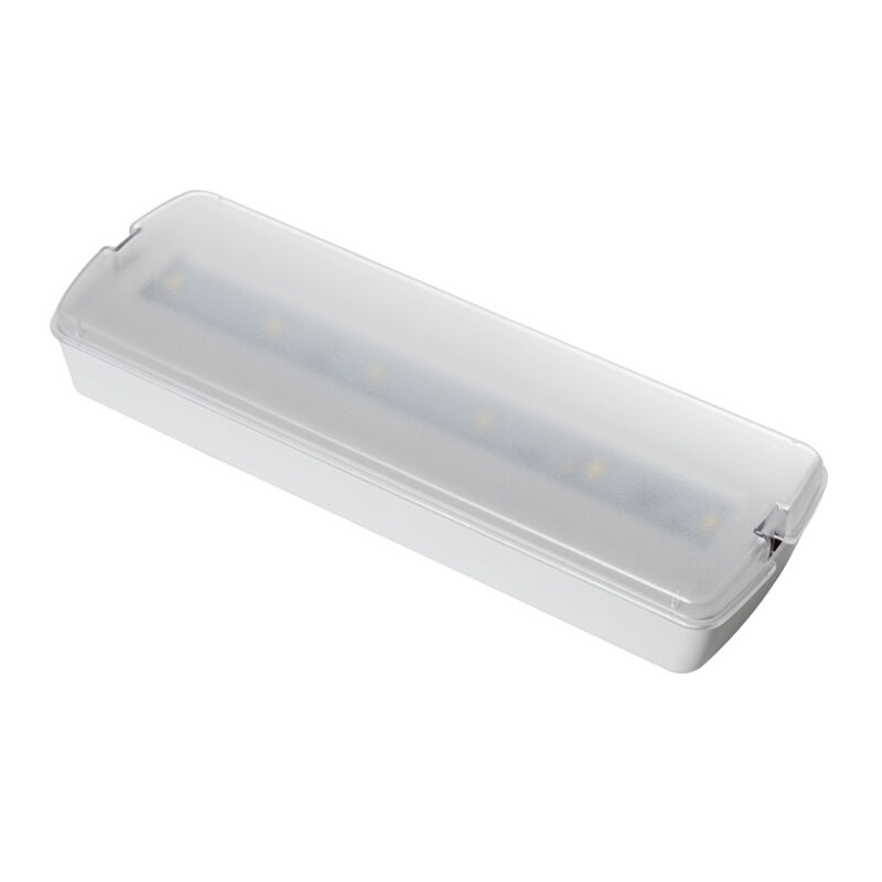 Batteria di plastica permanente di riserva di emergenza ricaricabile montata a parete luce a LED 3 ore di riserva Ni Cd IP20