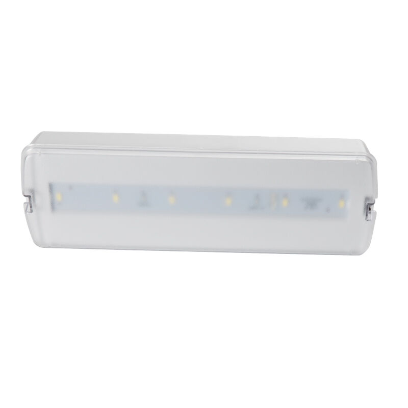 Batteria di plastica permanente di riserva di emergenza ricaricabile montata a parete luce a LED 3 ore di riserva Ni Cd IP20