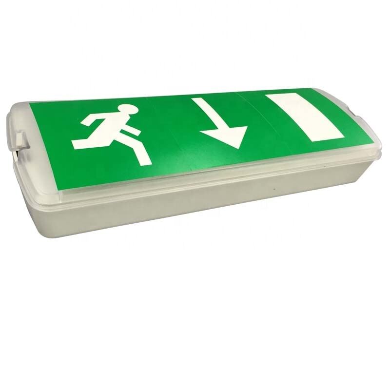 Luce d'emergenza ricaricabile a LED da 3 W montata a parete e al soffitto con garanzia di 3 anni e 180 minuti di backup
