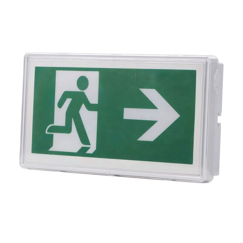 5W IP65 Lampada di emergenza impermeabile LED Paratia posizione bagnata 3 anni Garanzia 25000 ore