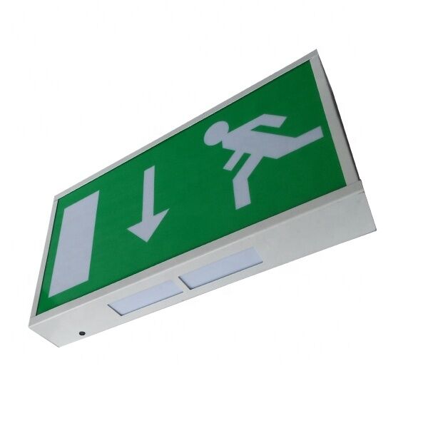 Segnale di uscita di emergenza a LED da 3 W con 3 anni di garanzia e 180 minuti di tempo di emergenza Luce di emergenza a LED ricaricabile