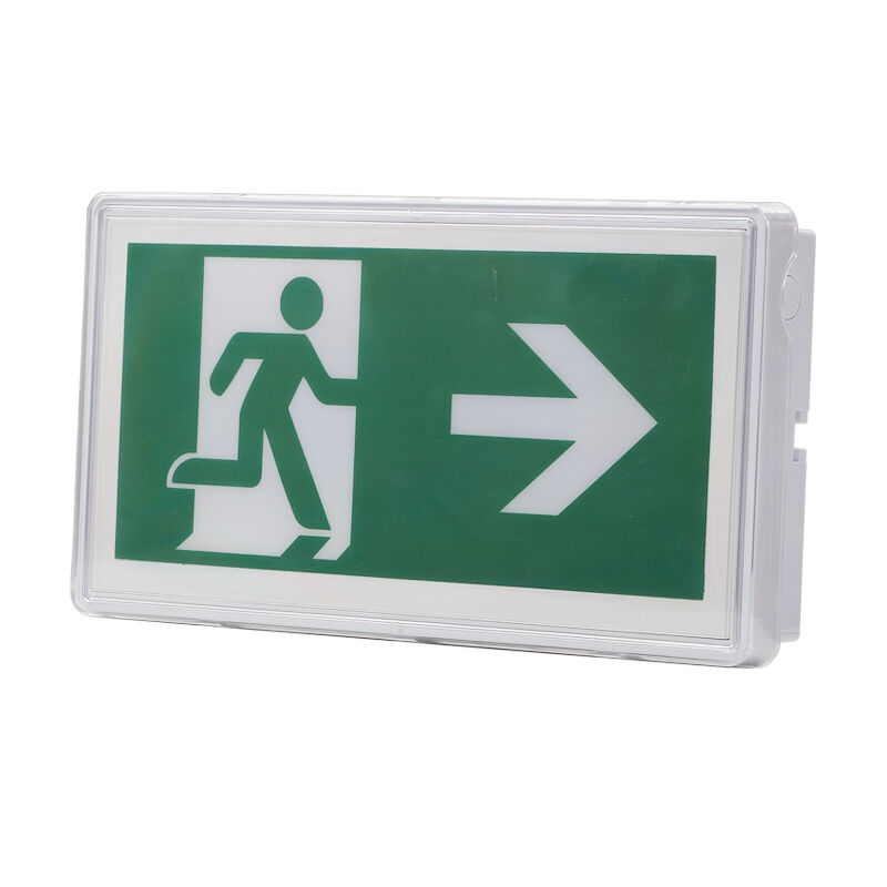 Luce di segnale di uscita d'emergenza a soffitto con batteria Ni-Cd IP65 e 5730 SMD LED