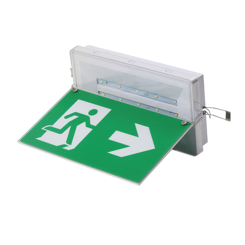 Luce di segnale di uscita d'emergenza a soffitto con batteria Ni-Cd IP65 e 5730 SMD LED
