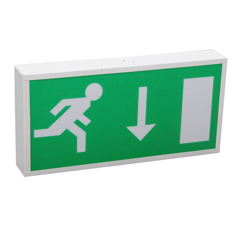 Segnaletica Batteria Ni-Cd di Emergenza LED Luce di Uscita 5730 SMD Garanzia 3 Anni