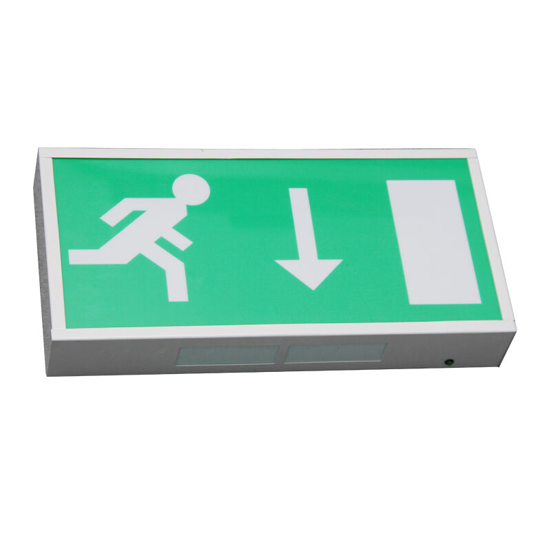 Segnaletica Batteria Ni-Cd di Emergenza LED Luce di Uscita 5730 SMD Garanzia 3 Anni