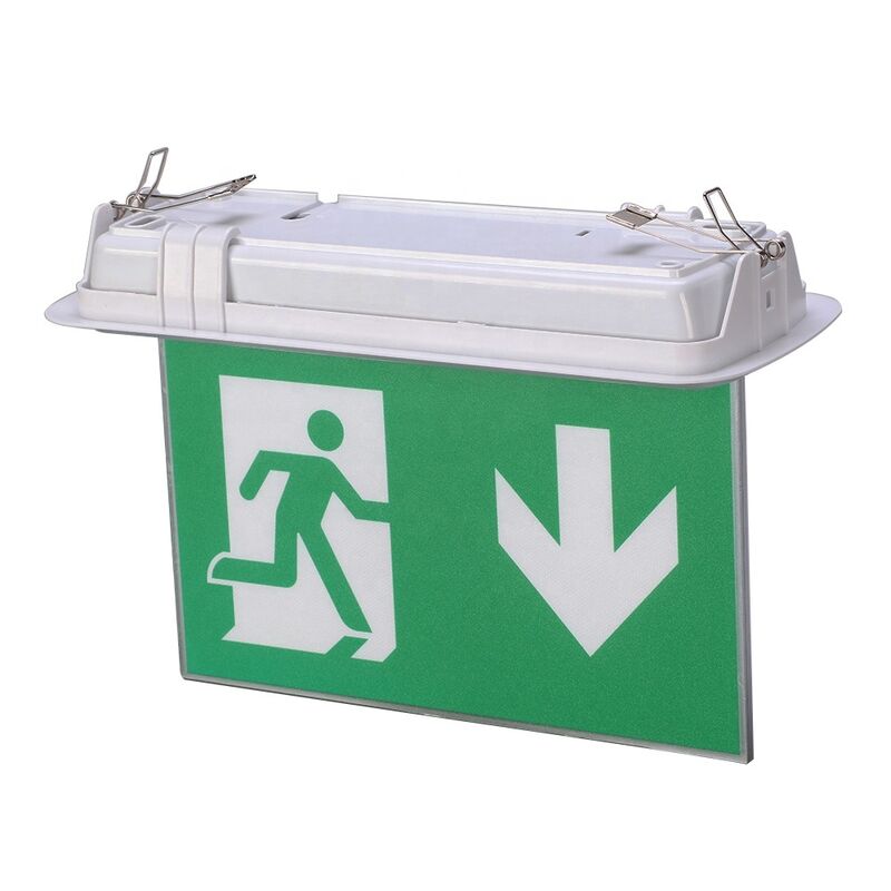 Segnaletica di emergenza LED bifacciale con cassa in ABS ignifugo, funzionamento 3 ore, batteria Ni-Cd
