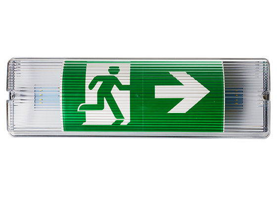 Luce d'emergenza impermeabile con funzionamento di 3 ore per il rivestimento e la piastra ABS esterni