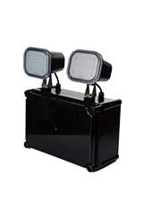 Luce di emergenza IP65 impermeabile 2X4W Twin Spot con garanzia di 3 anni e lampada di emergenza a LED a doppia testa