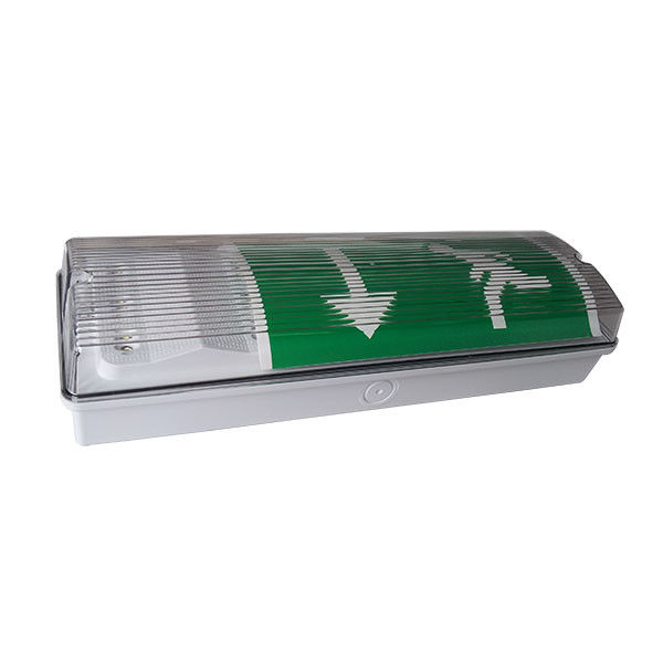 IP65 resistente all'acqua luce di emergenza LED esterna batteria Ni-Cd 3 ore durata EL015EN