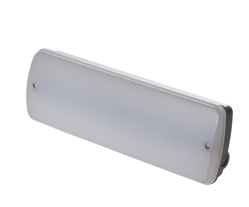 Luce di emergenza impermeabile 3W mantenuta/non mantenuta per esterni in luogo umido, garanzia 3 anni, IP65 L121N