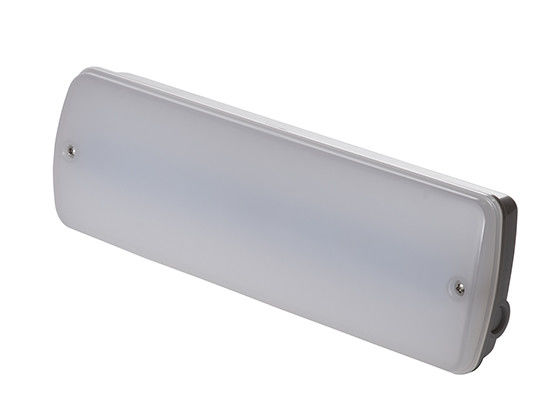 IP65 Lampada d'emergenza impermeabile LED di piccole dimensioni 3 anni di garanzia
