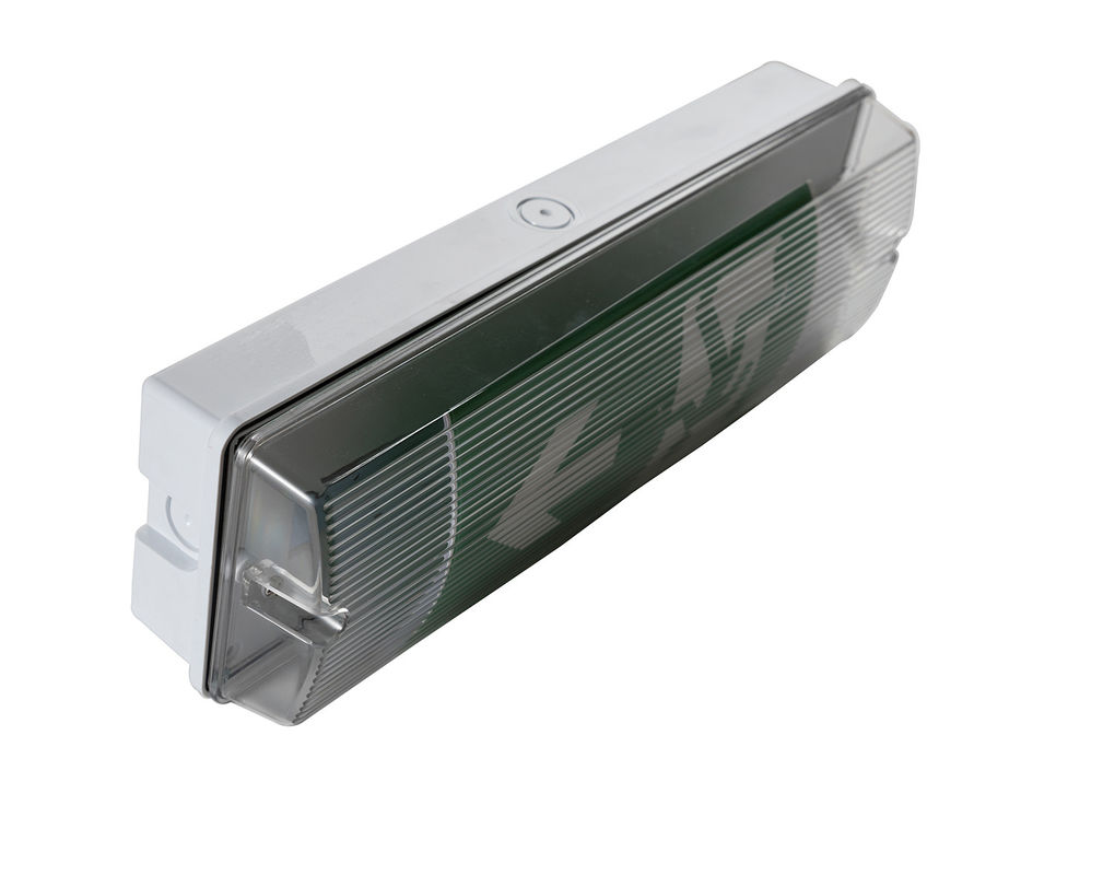 IP65 resistente all'acqua ricaricabile all'aperto LED luce di emergenza superficie montaggio batteria Ni-Cd L122M