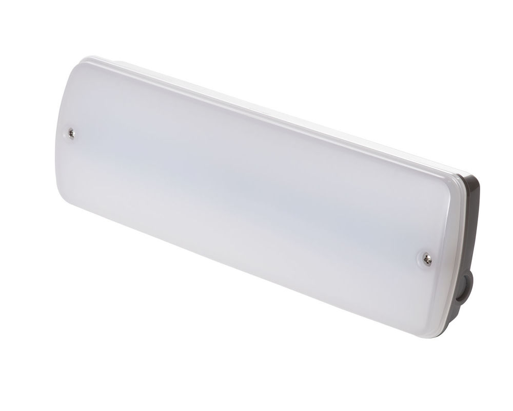 Luce di emergenza industriale impermeabile 220V per esterni in luoghi umidi con batteria di backup LED L121N