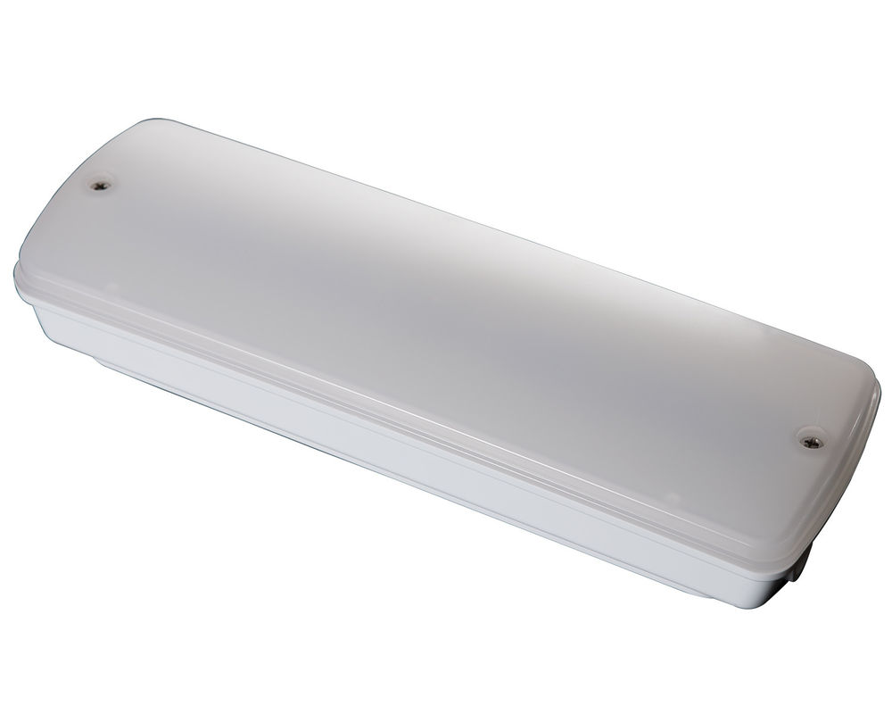 Luce di emergenza industriale impermeabile 220V per esterni in luoghi umidi con batteria di backup LED L121N