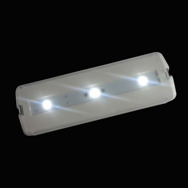 Luce di emergenza a LED ricaricabile da 220V con backup a batteria Approvazione CE Montaggio a parete superficiale L116N-A1