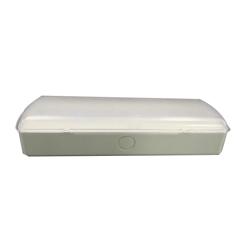 3 ore di funzionamento 5W resistenza al fuoco ABS luci di emergenza LED batteria Ni-Cd L119N